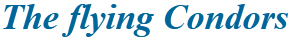 flyingCondor