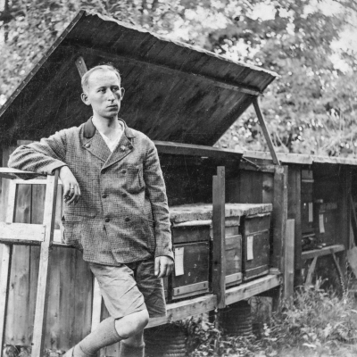 Großvater Gustavs Bienenzucht, Wampersdorf